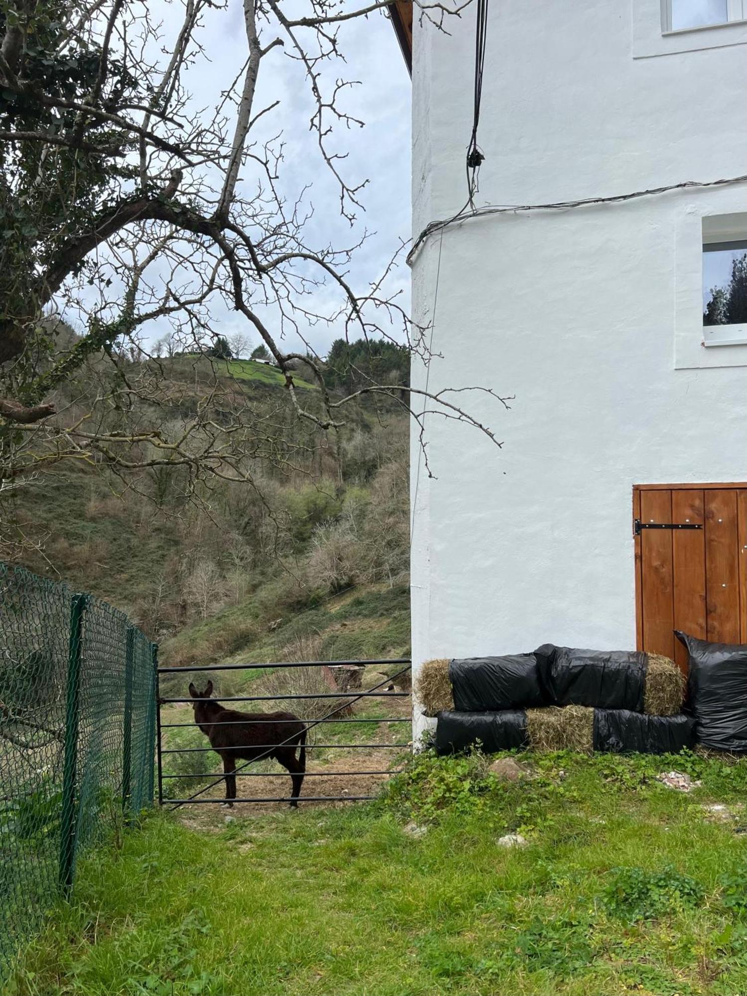 Fantastico Retiro Rural En El Corazon De Euskadi Apartment Elgoibar Exterior foto